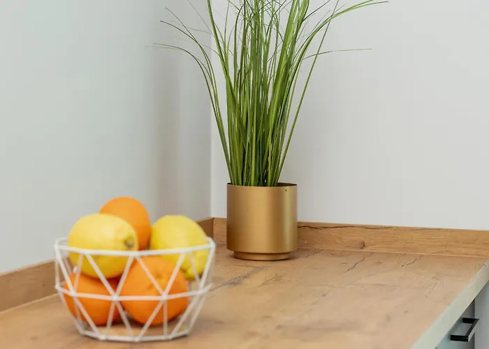 Na 15 Pietrze Z Widokiem Na Zatoke W Gdyni I Parkingiem By Renters Gdynia